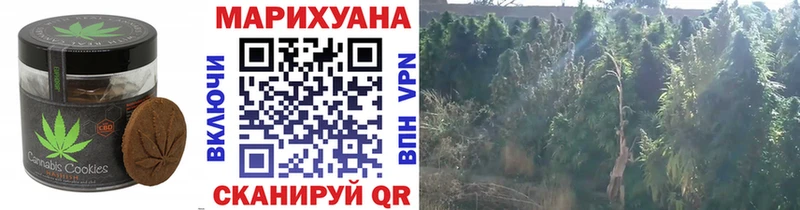 дарнет шоп  Ирбит  блэк спрут рабочий сайт  Печенье с ТГК конопля 