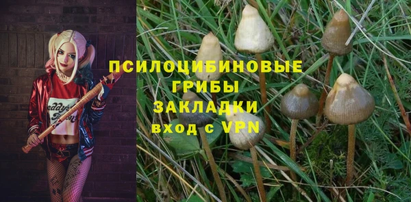 ПСИЛОЦИБИНОВЫЕ ГРИБЫ Абинск