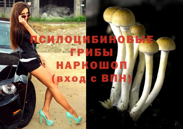 гидра Покровск
