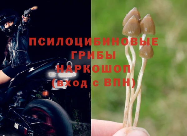 jwh Покачи